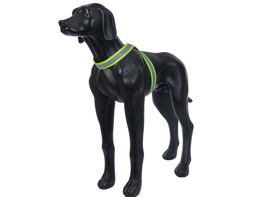 Rukka Pets Note Body Band